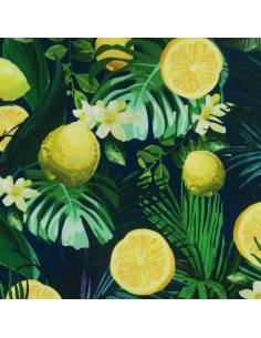 Látka Oxford citronů